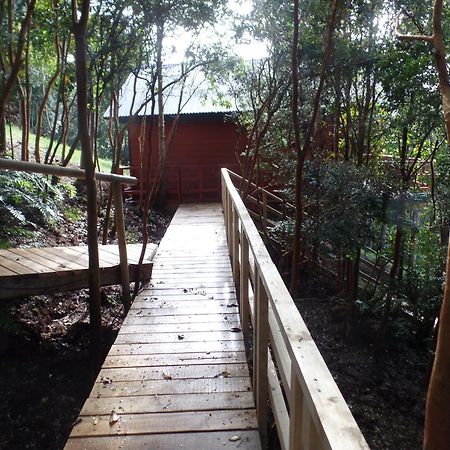 Parque Natural Rio Bravo Lodge Кастро Экстерьер фото