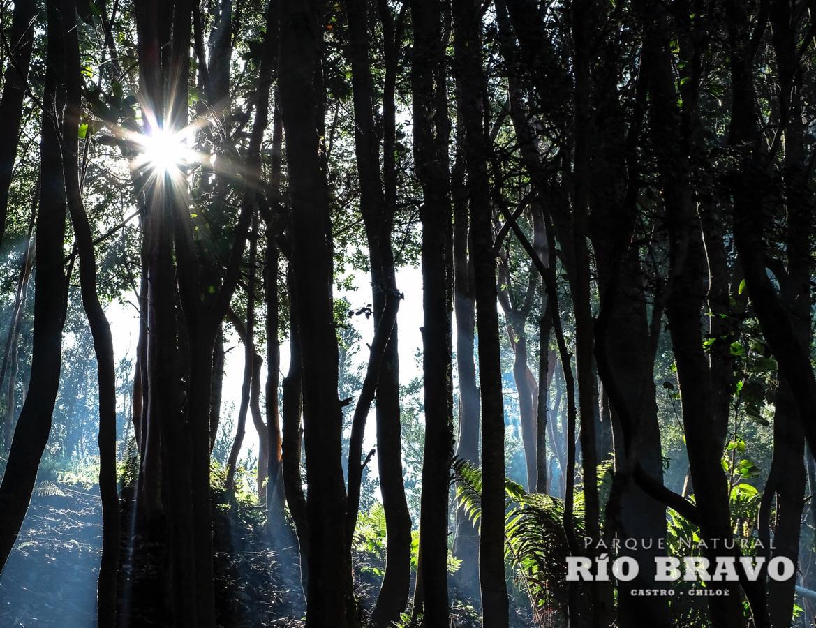 Parque Natural Rio Bravo Lodge Кастро Экстерьер фото