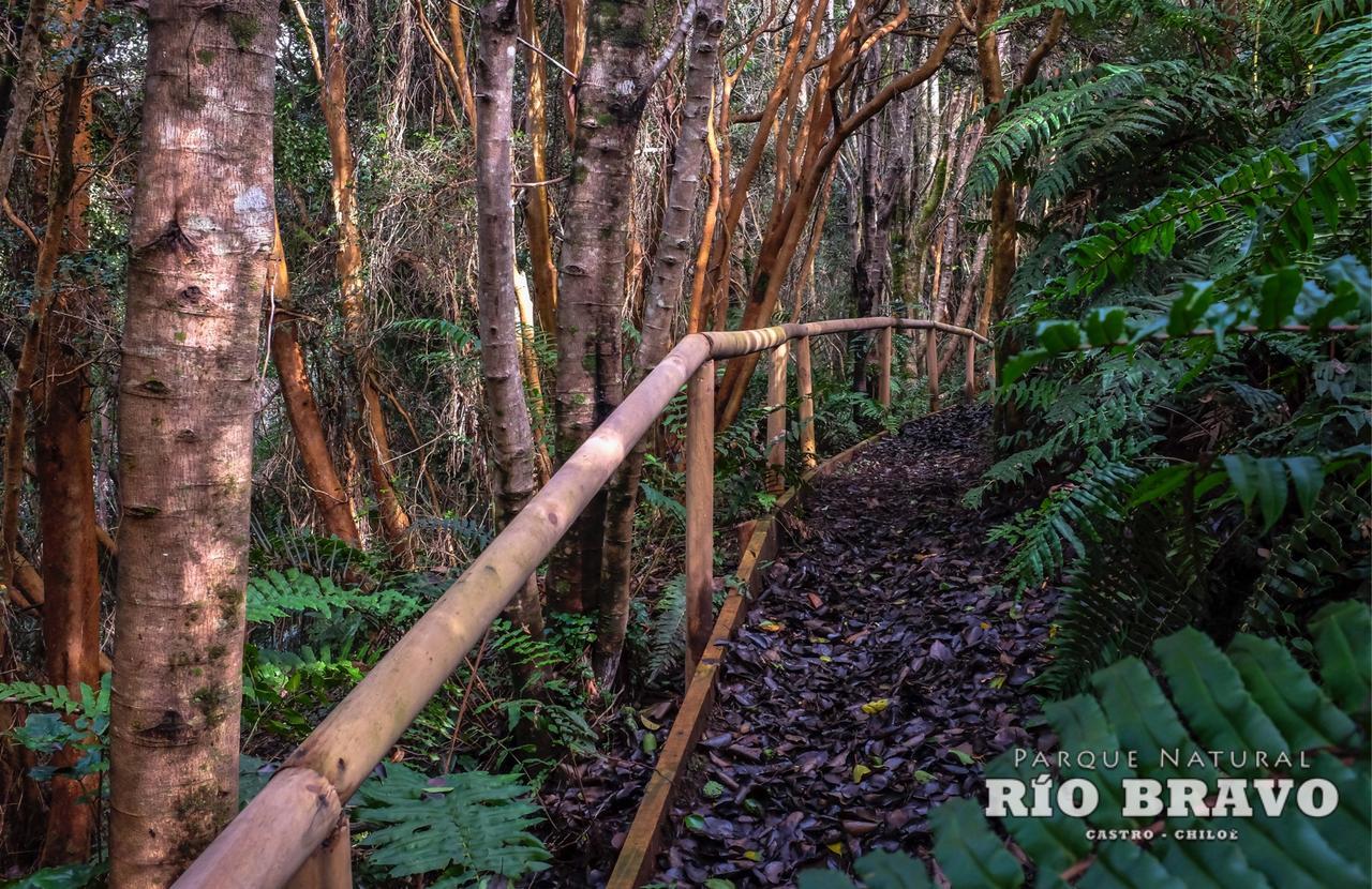 Parque Natural Rio Bravo Lodge Кастро Экстерьер фото