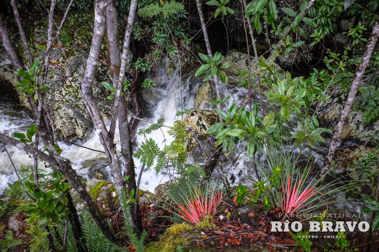 Parque Natural Rio Bravo Lodge Кастро Экстерьер фото