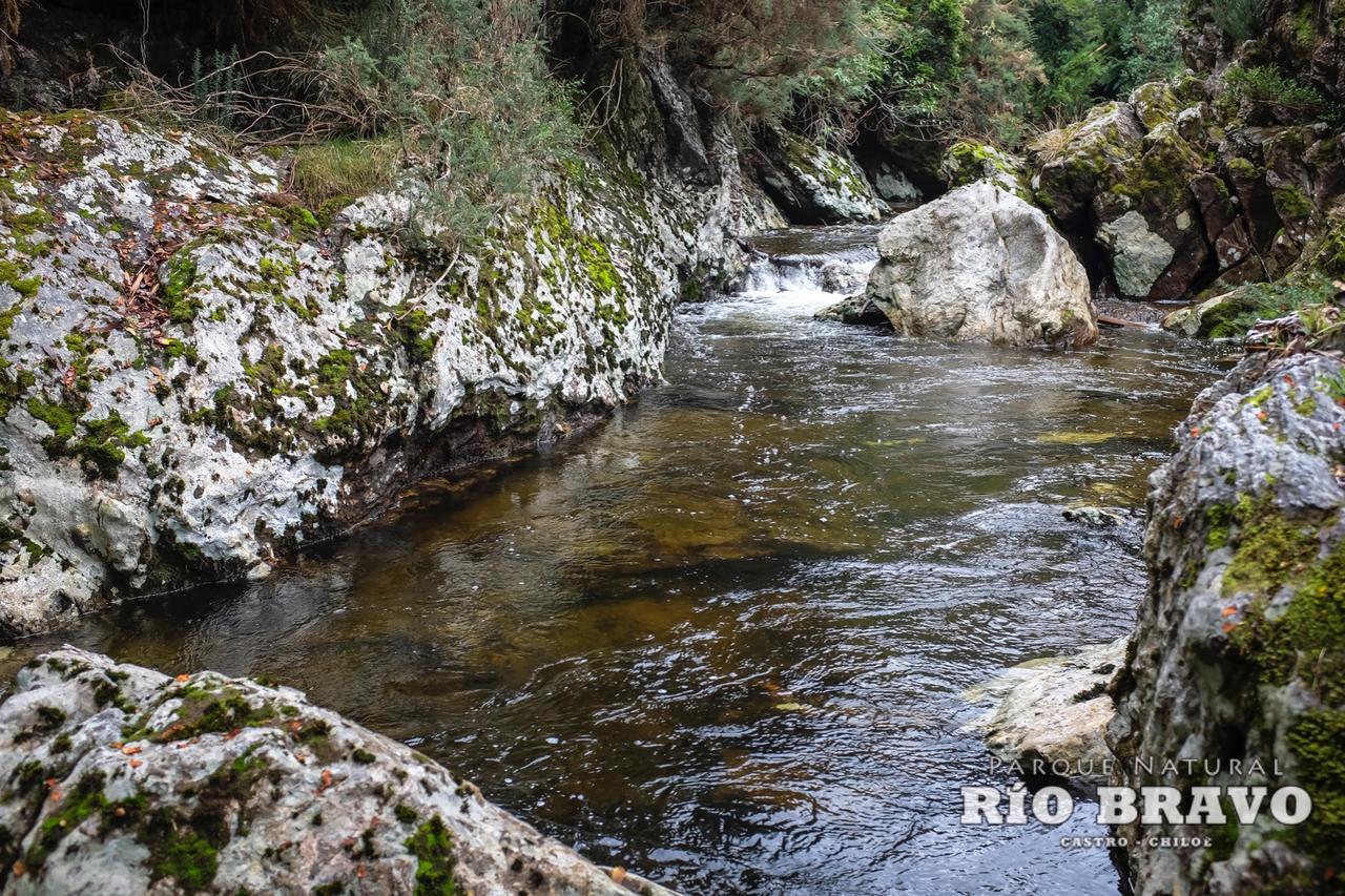 Parque Natural Rio Bravo Lodge Кастро Экстерьер фото