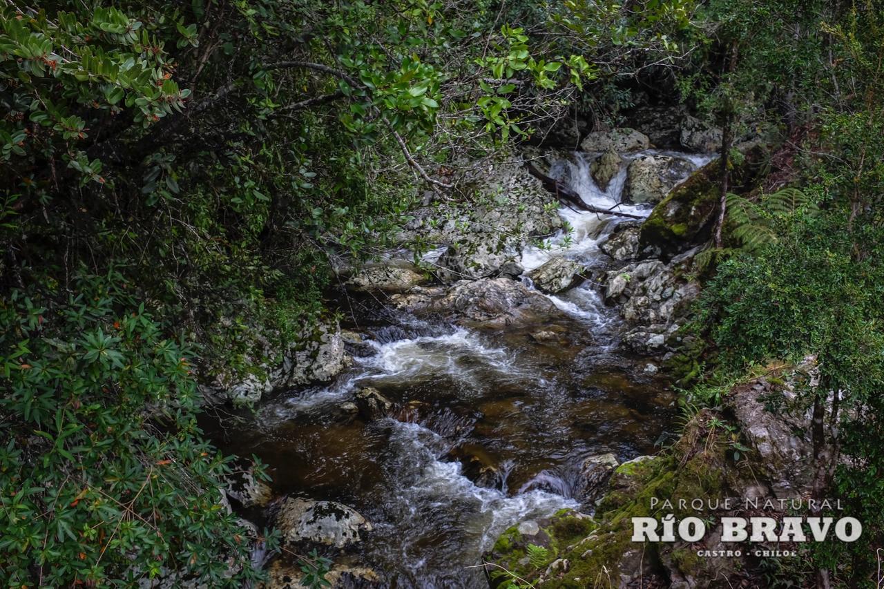 Parque Natural Rio Bravo Lodge Кастро Номер фото