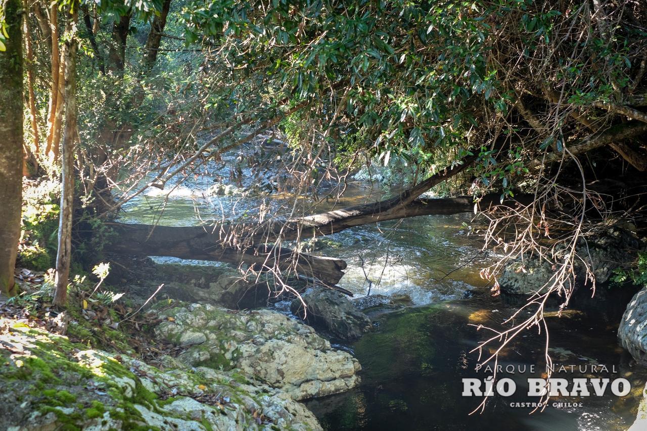 Parque Natural Rio Bravo Lodge Кастро Экстерьер фото